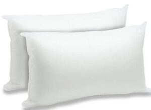 outdoor lumbar pillow inserts