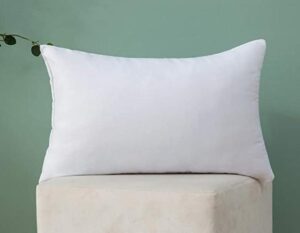 best 12x12 decorative pillow inserts