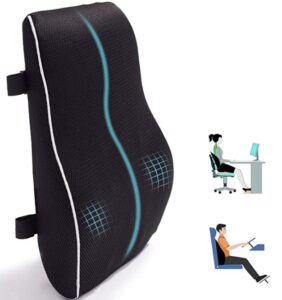 lumbar support cushion for chair